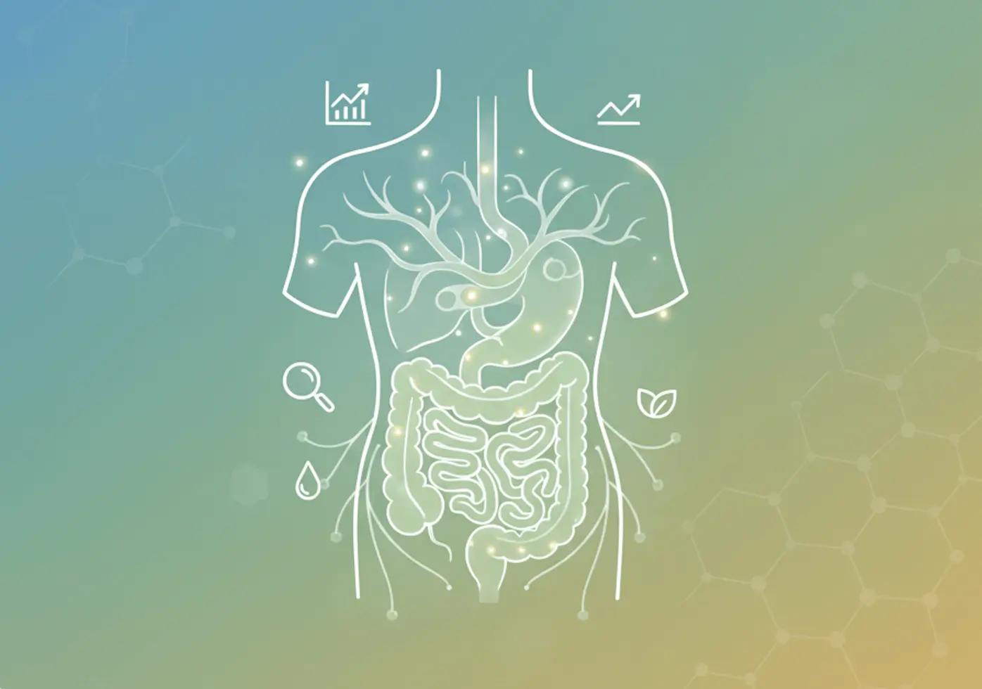 Transform your health with personalized gut wellness